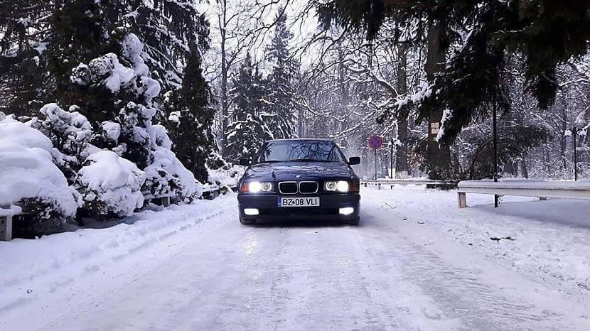  Autors: Fosilija BMW "mašīnītes"#2