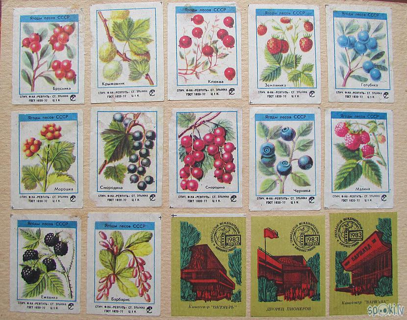 Mežu un dārzu ogas Autors: pyrathe Bērnības dienu kolekcija: etiķetes no sērkociņu kastītēm (1.daļa)