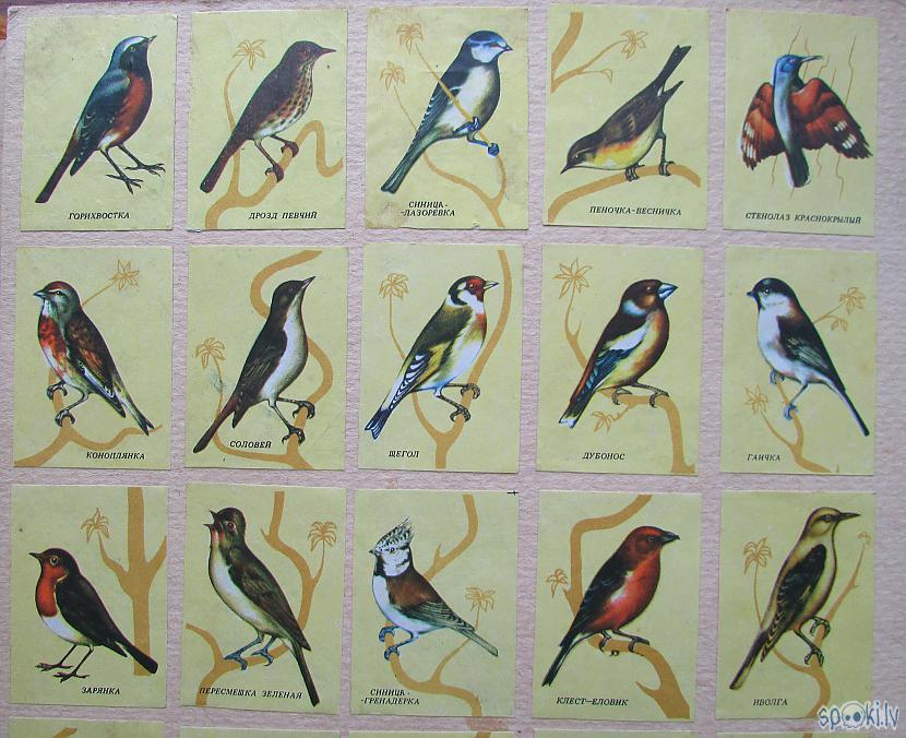 Putnīņi Autors: pyrathe Bērnības dienu kolekcija: etiķetes no sērkociņu kastītēm (1.daļa)