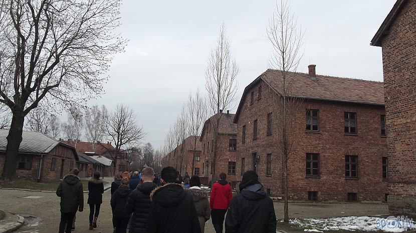 Var redzēt kādi izskatijās... Autors: Fosilija Es tur biju, es to redzēju - Aušvices koncentrācijas nometne Birkenau #2