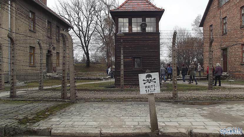 Viens no daudzajiem... Autors: Fosilija Es tur biju, es to redzēju - Aušvices koncentrācijas nometne Birkenau #2