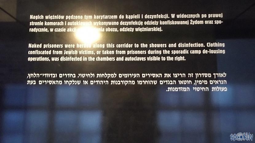  Autors: Fosilija Es tur biju, es to redzēju - Aušvices koncentrācijas nometne Birkenau #3