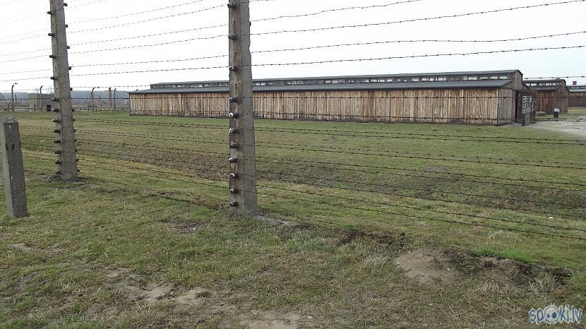  Autors: Fosilija Es tur biju, es to redzēju - Aušvices koncentrācijas nometne Birkenau #3