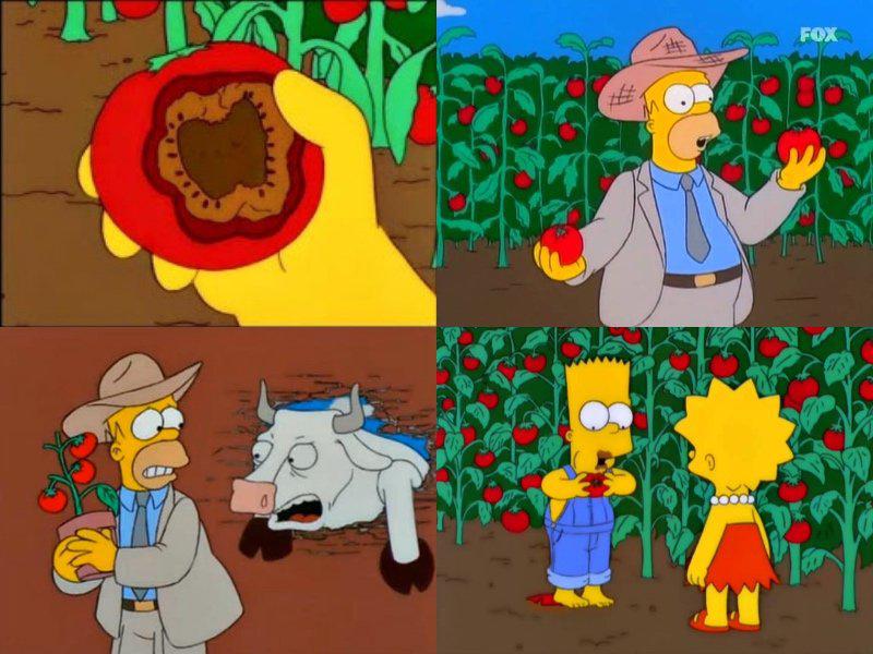 Par mutanttomātiem un citām... Autors: Lestets Ko pareģoja Simpsonos?