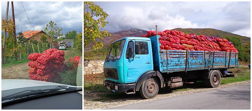 Tagad ir jau oktobris un... Autors: Pēteris Vēciņš Prespas ezers un ābolu paradīze Resene (Maķedonijas ceļojuma 4. daļa).