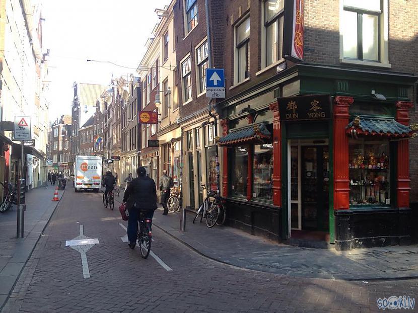 Chinatown Autors: Latišs Amsterdama un maģiskās kūciņas