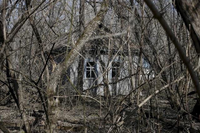 Pamesta privātmāja Mājas... Autors: rukšukskrienam Vēl joprojām radioaktīvs: 30 gadi kopš Černobiļas katastrofas