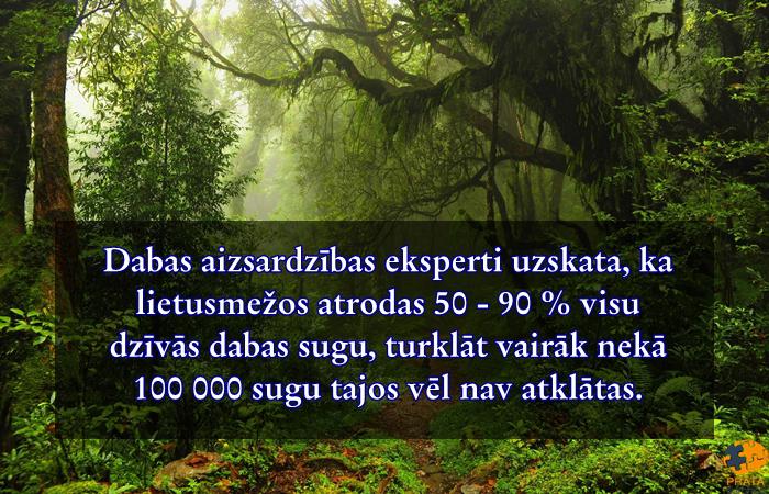  Autors: Prāta Darbnīca 20 fakti, kas vairos tavas zināšanas