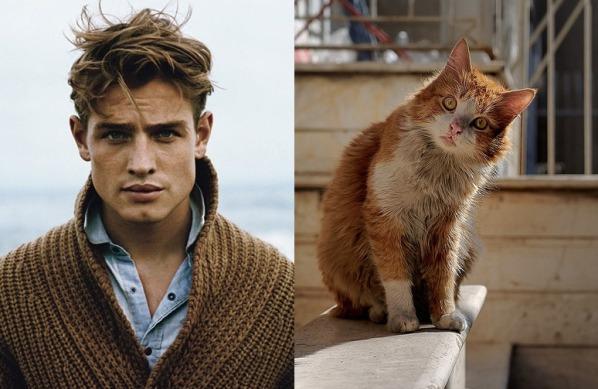 Kas jāprot katram sevi... Autors: Fosilija Vīrieši vs kaķi! Kas tev labāk?
