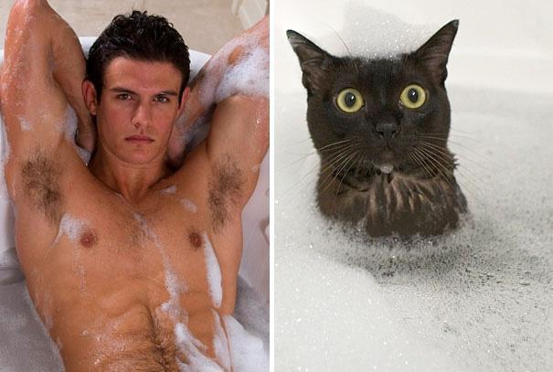 Sarunājas jaunais pāris Mīļā... Autors: Fosilija Vīrieši vs kaķi! Kas tev labāk?
