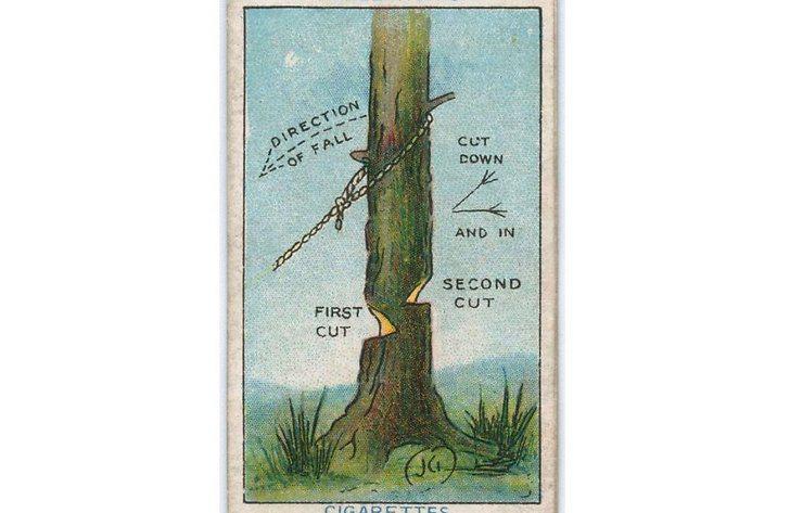 Kā nocirst kokuIecērt koku tā... Autors: Prāta Darbnīca Seni padomi uz cigarešu paciņām