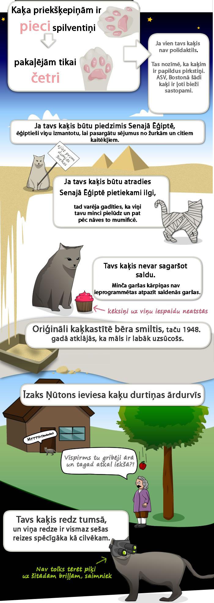  Autors: kaķūns 17 lietas, kuras vērts zināt par savu kaķi