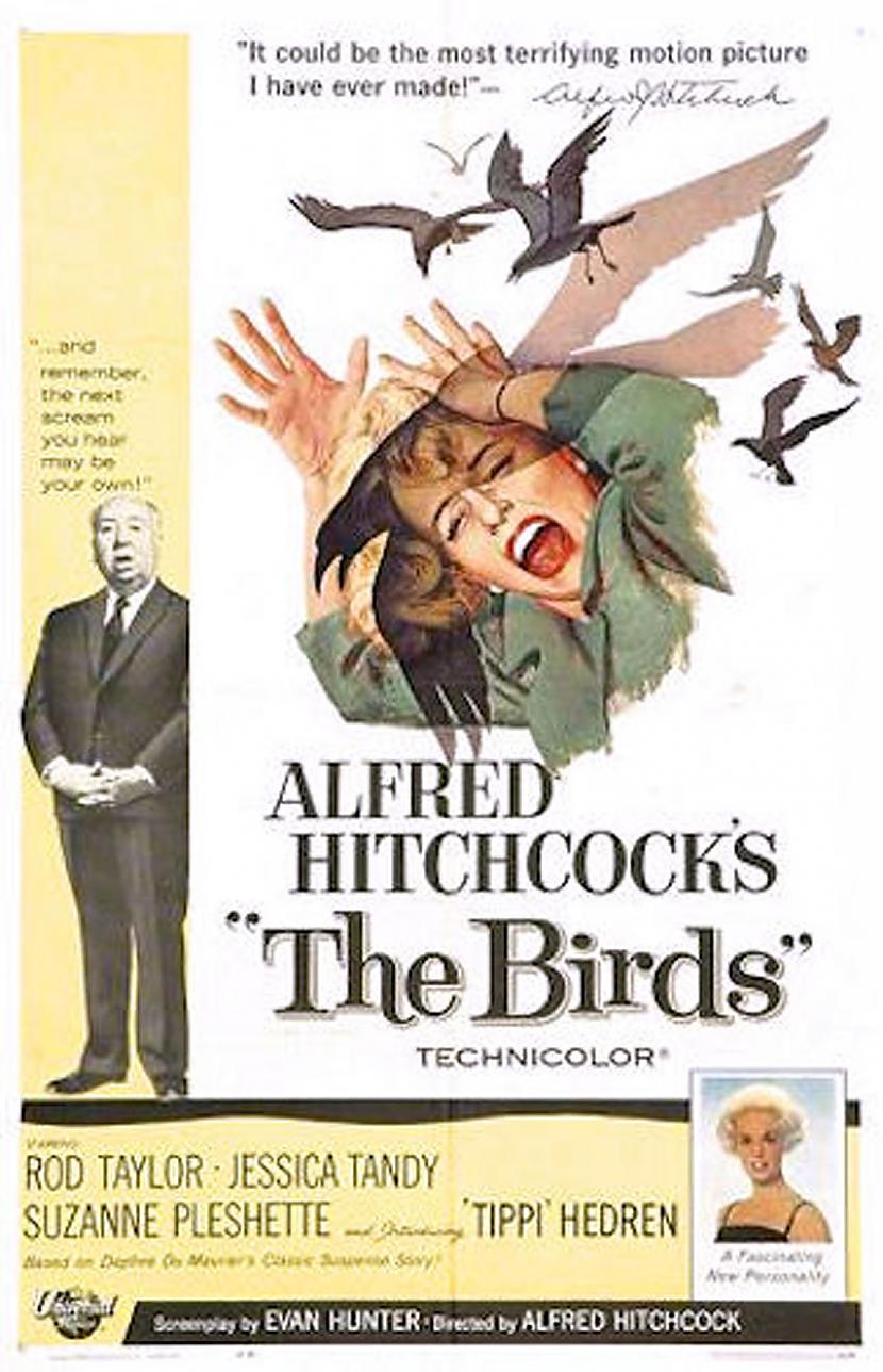 18 The Birds 1963Pēcnbsp... Autors: VOVASFILMAS Dažas filmas, kuras ir vērts noskatīties