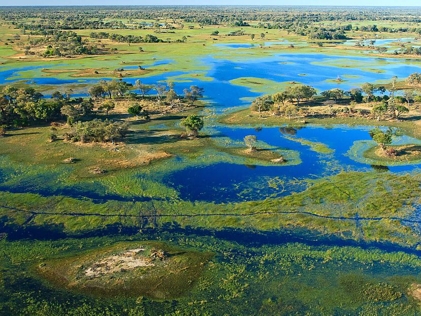 Okavango Delta BotsvanaSulīgā... Autors: Aiiva Vai Tu gribētu šeit pabūt...?