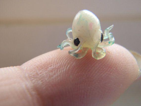 Tikko piedzimis astoņkājis ir... Autors: madddd 50 interesanti fakti, kuri Tevi noteikti pārsteigs.