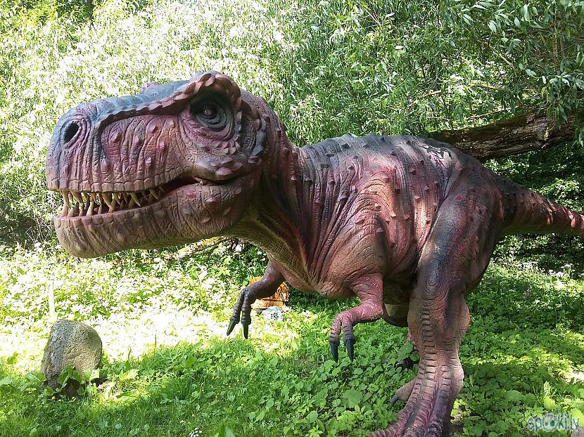 Arī Tiranosaurus Rex taču... Autors: Huskijs3 Lietuva - Dino parkas!