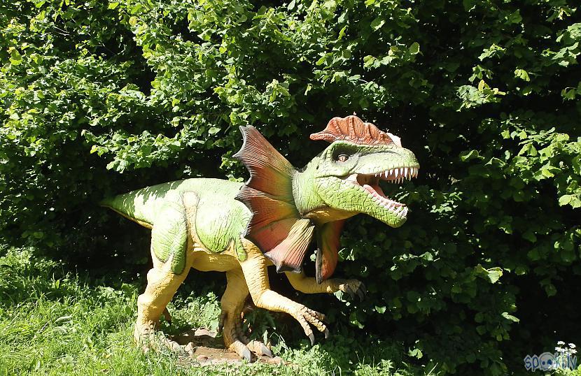 Zaļais kuru jau minēju... Autors: Huskijs3 Lietuva - Dino parkas!