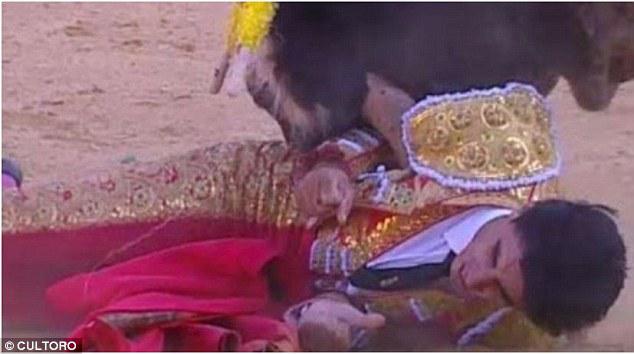 Bullis vārdā Lorenzo izdūra... Autors: KALENS Spāņu labākais matadors pūļa priekšā tiek sakropļots līdz nāvei