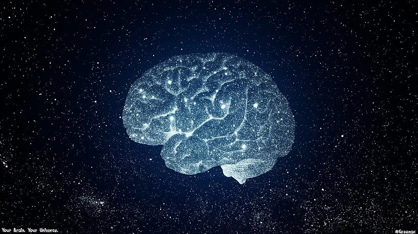 Mūsu smadzeņu neironu uzbūve... Autors: Geimeris Apbrīnojami fakti par TAVU ķermeni!