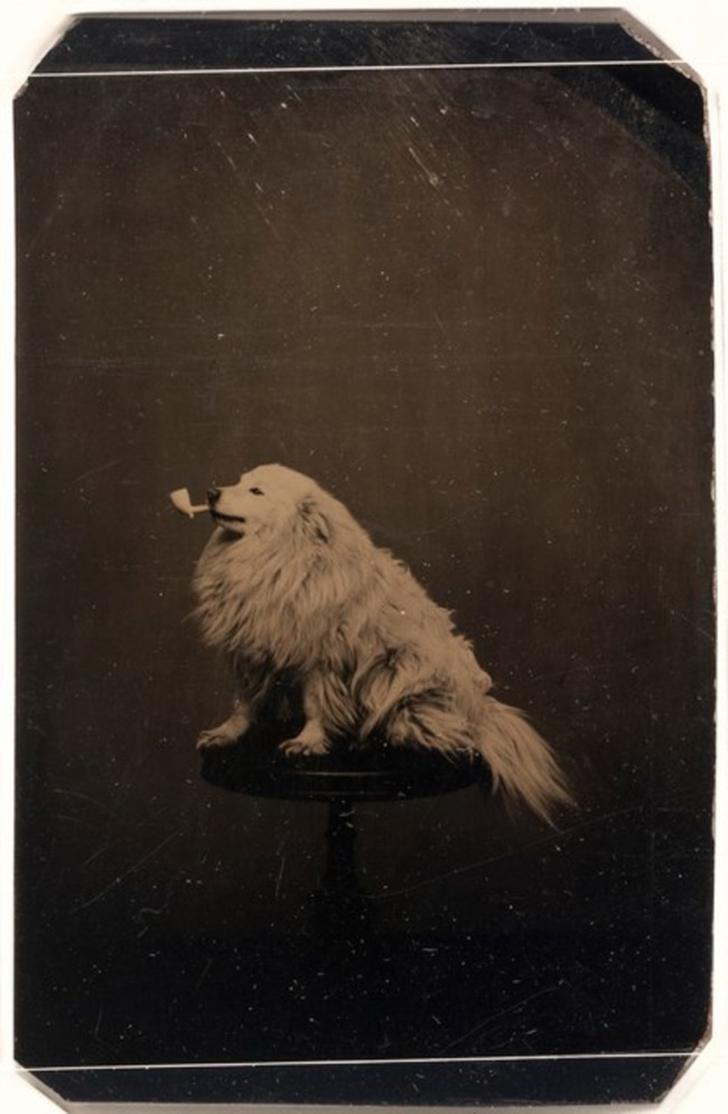 1875 gadsMuļķīgas fotogrāfijas... Autors: sfinksa Atgriežamies vēsturē