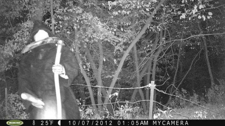 Vai tiescaronām scaronī kamera... Autors: Testu vecis Baisākās mežā uzņemtās fotogrāfijas