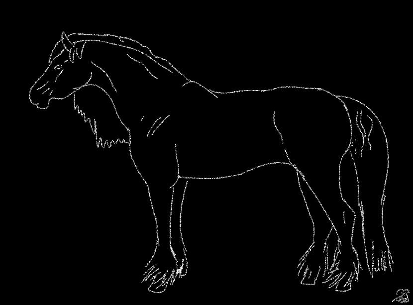 Black horse Autors: Baibiņa2002 Zīmējumi 14. daļa