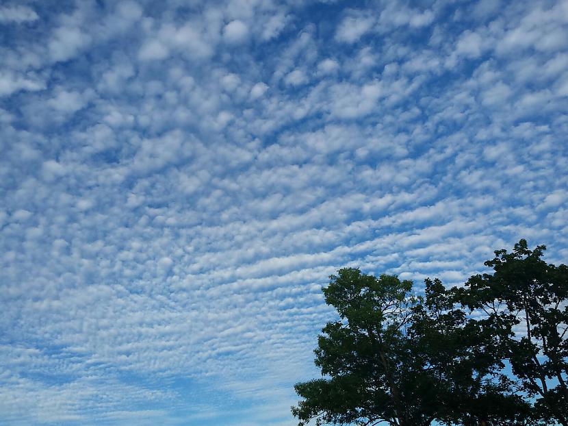 Kādā laikā staigājot pa āru... Autors: jhtamarexi Mūs indē - chemtrails jeb tā saucamā ķīmiskā aste