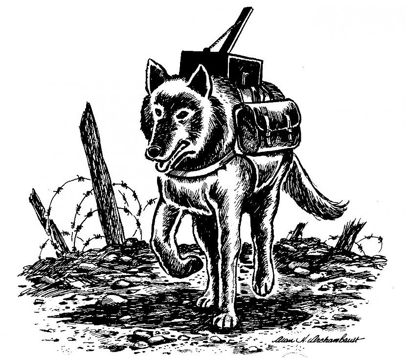 Plāns Nr 1  daudzreiz... Autors: misticismo Suņi pašnāvnieki jeb prettanku suņi. Sarkanās armijas utopija.
