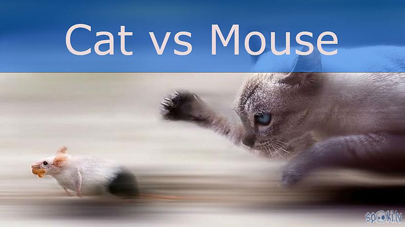 Our cat like. Cat vs Mouse. Мышка Маус кошка Кэт. Cat-Mouse java.