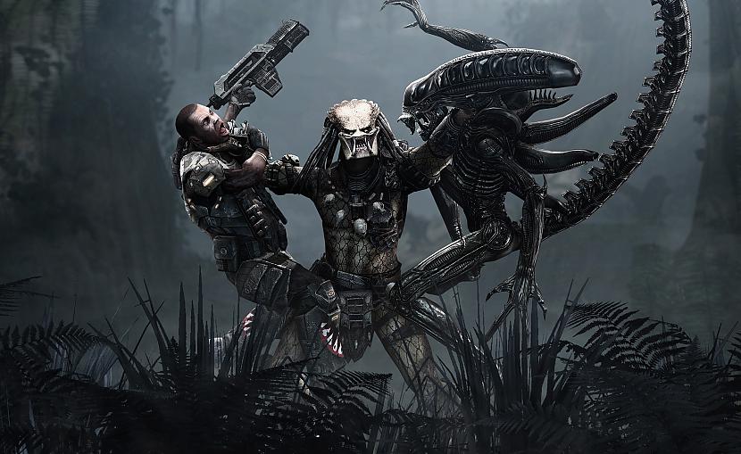 Aliens vs Predator Autors: Ciema Sensejs Dažas spēles ar monstriem