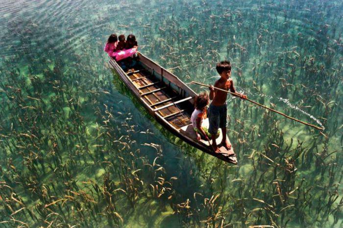 Bērni kuri peld ar laivu pa... Autors: Zirgalops Fotošops? NĒ!