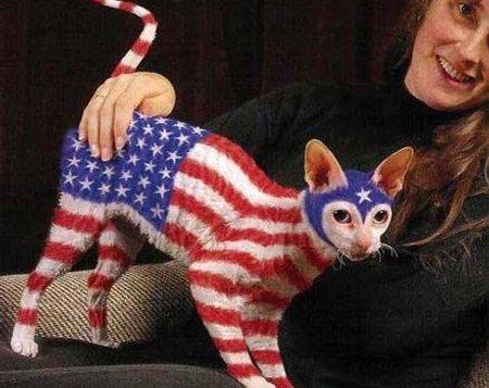 Superpatriotu ģimenes kaķis Autors: Latvian Revenger Tikmēr Amerikā #2
