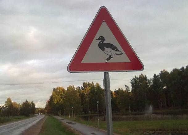 Latvijā ir atrasta arī... Autors: Ciema Sensejs Par kādiem dzīvniekiem brīdina pasaules ceļa zīmes?