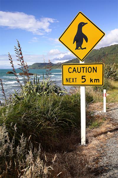 Uzmanieties no pingvīniem... Autors: Ciema Sensejs Par kādiem dzīvniekiem brīdina pasaules ceļa zīmes?