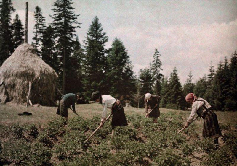 1931  zemnieki no Karpatu... Autors: Lestets Retas bildes no Rumānijas pēc 1930. gada.
