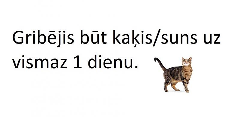  Autors: The Diāna TU esi to darījis?