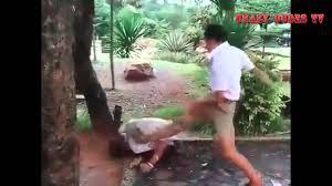 Autors: Top Compilations Best of street fight compilation #8