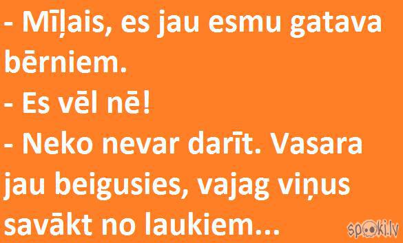  Autors: KALENS Spoki joko