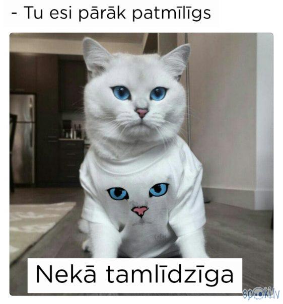  Autors: REDSUS Spoki joko