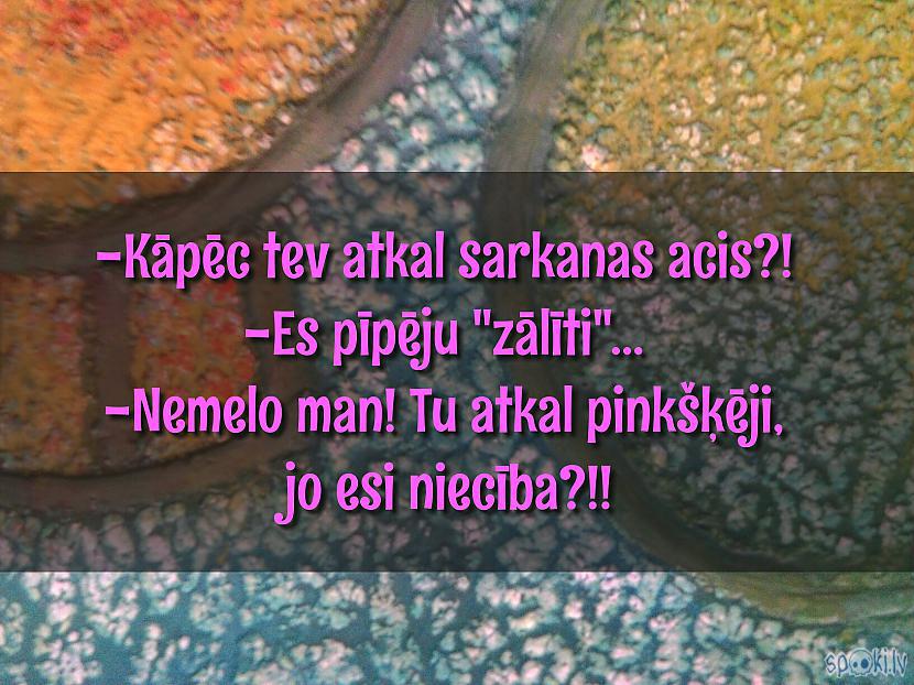  Autors: Kolch Spoki joko