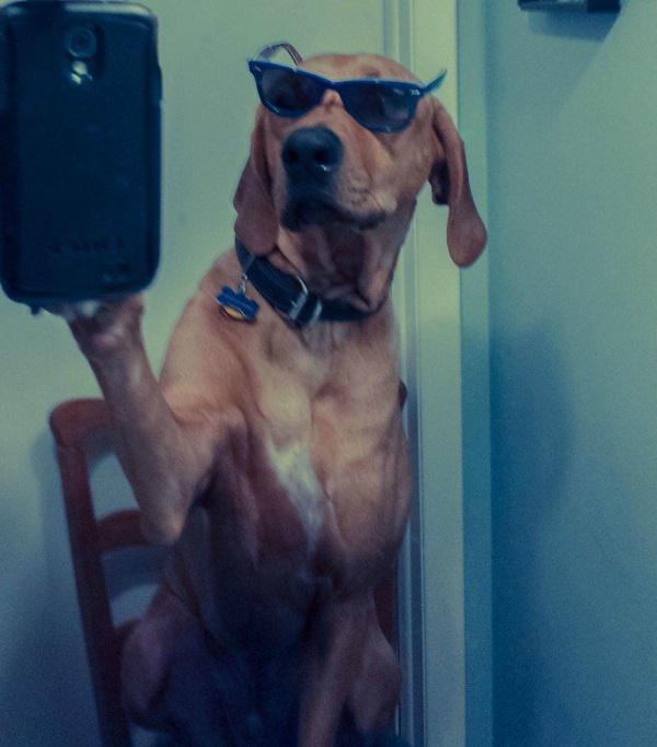 Reāli kruts suns  Autors: RigaGiga Selfiju stulbums