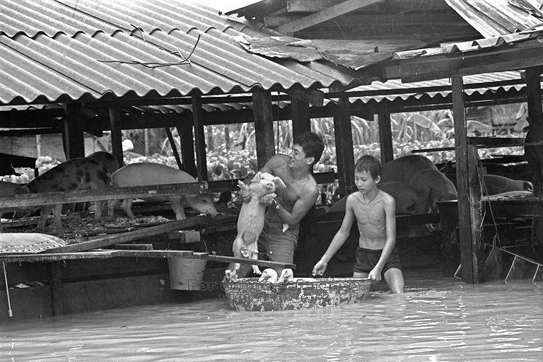 XX gs sākumā Singapūras upes... Autors: Raziels Valsts, kuras attīstības modeli pārņēma Ķīna