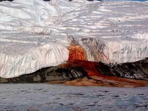 9 Scaronai kontinentā ir... Autors: Trakais Jēgers 24 fakti par Antarktiku, kas varētu būt interesanti