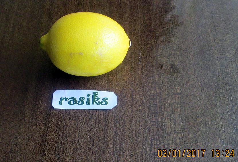  Autors: rasiks Fs vesels citrons