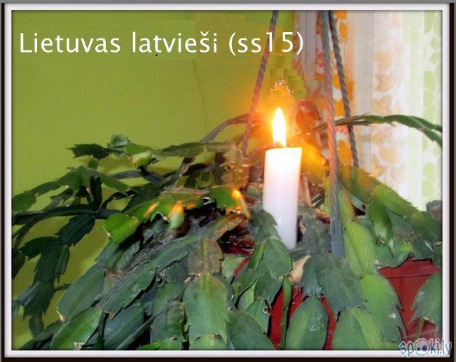 Lietuvas latvieši (ss15)