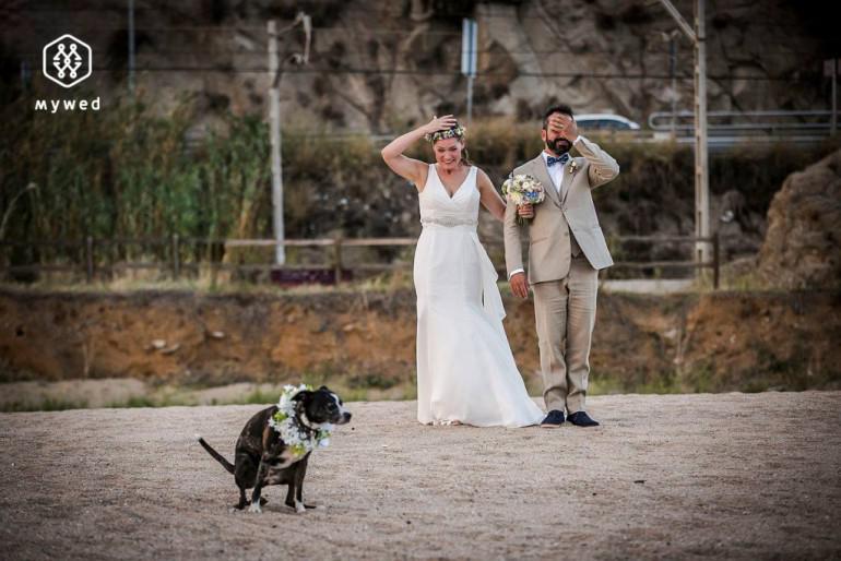  Autors: 100 A 10 smieklīgākās kāzu bildes no 2016. gada. Episki komiski kadri!