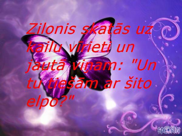  Autors: Altenzo Spoki joko