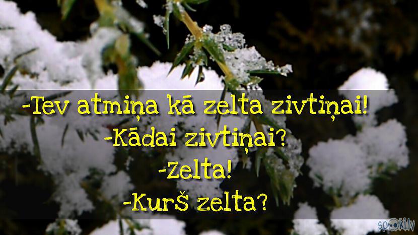  Autors: Kolch Spoki joko