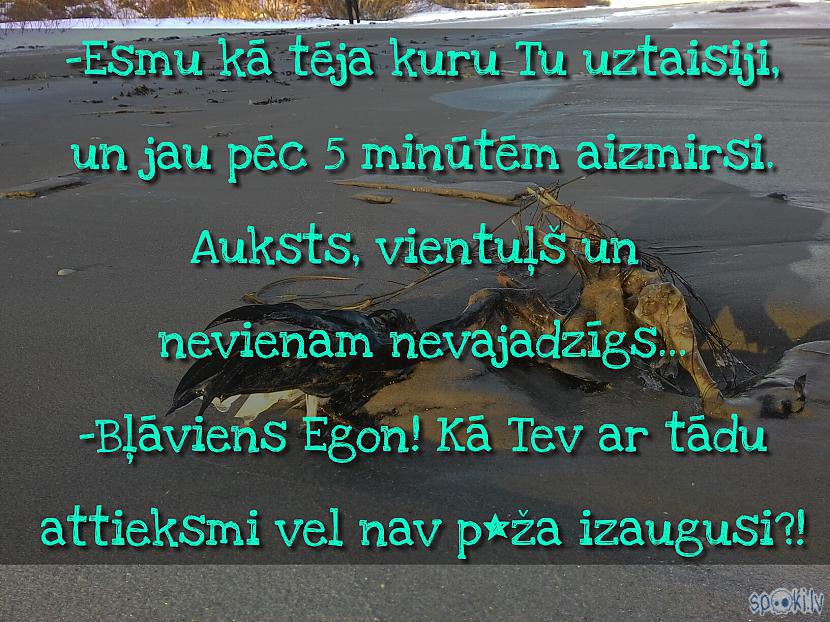  Autors: Kolch Spoki joko