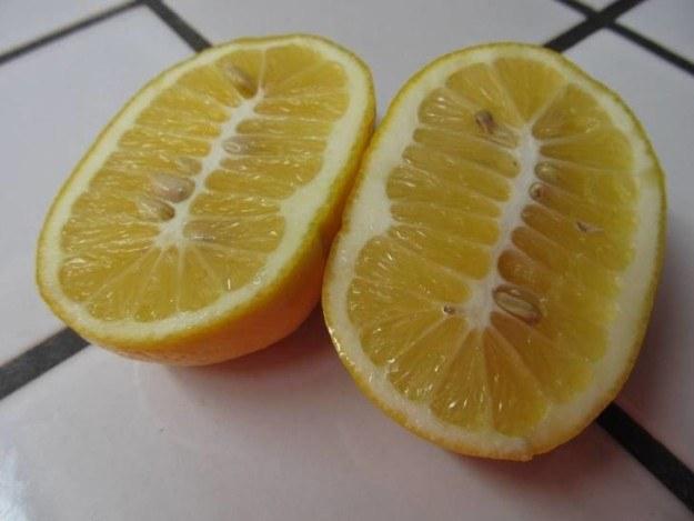 Neparasti liels citrons ar... Autors: Syder 17 reizes, kad tu labāk būtu ēdis roltonu! #2